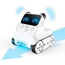 Robots Codey Rocky