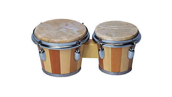  Bongo bungas