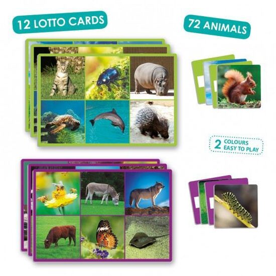 Lielais dzīvnieku loto